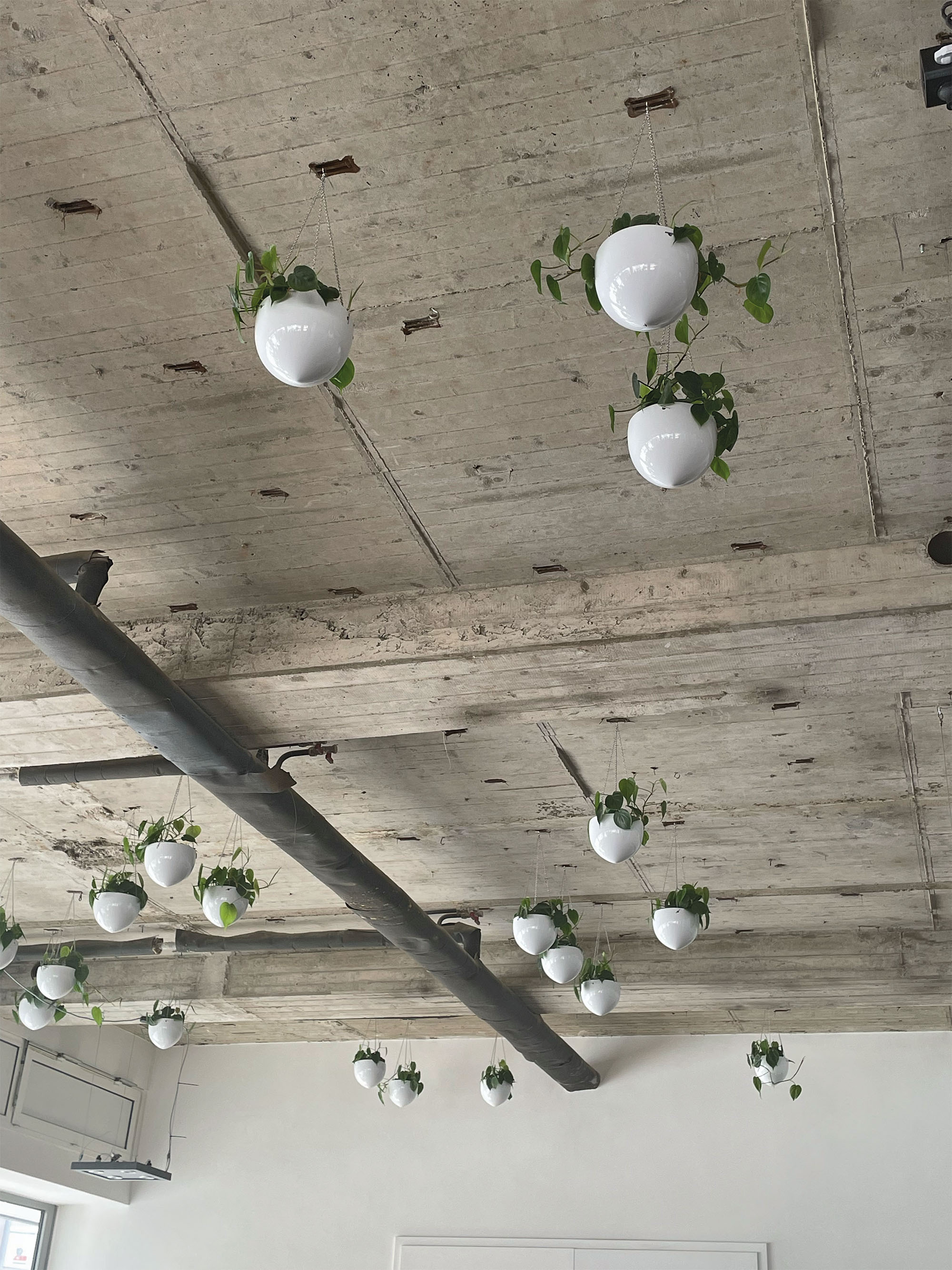 First-semester anthology