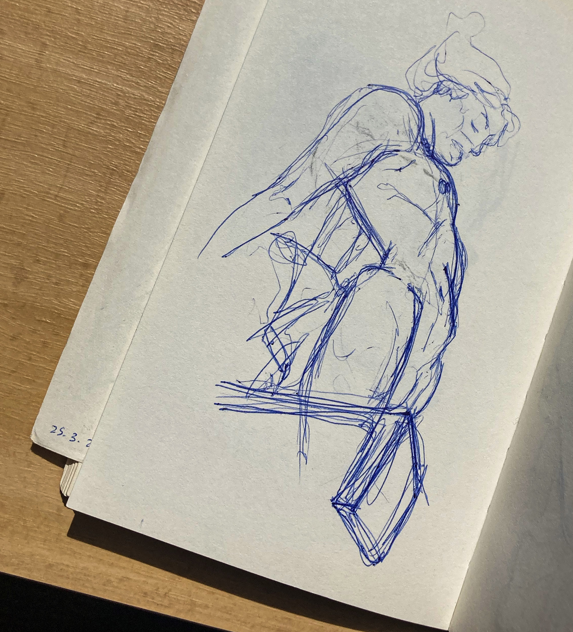Anatomy studies
