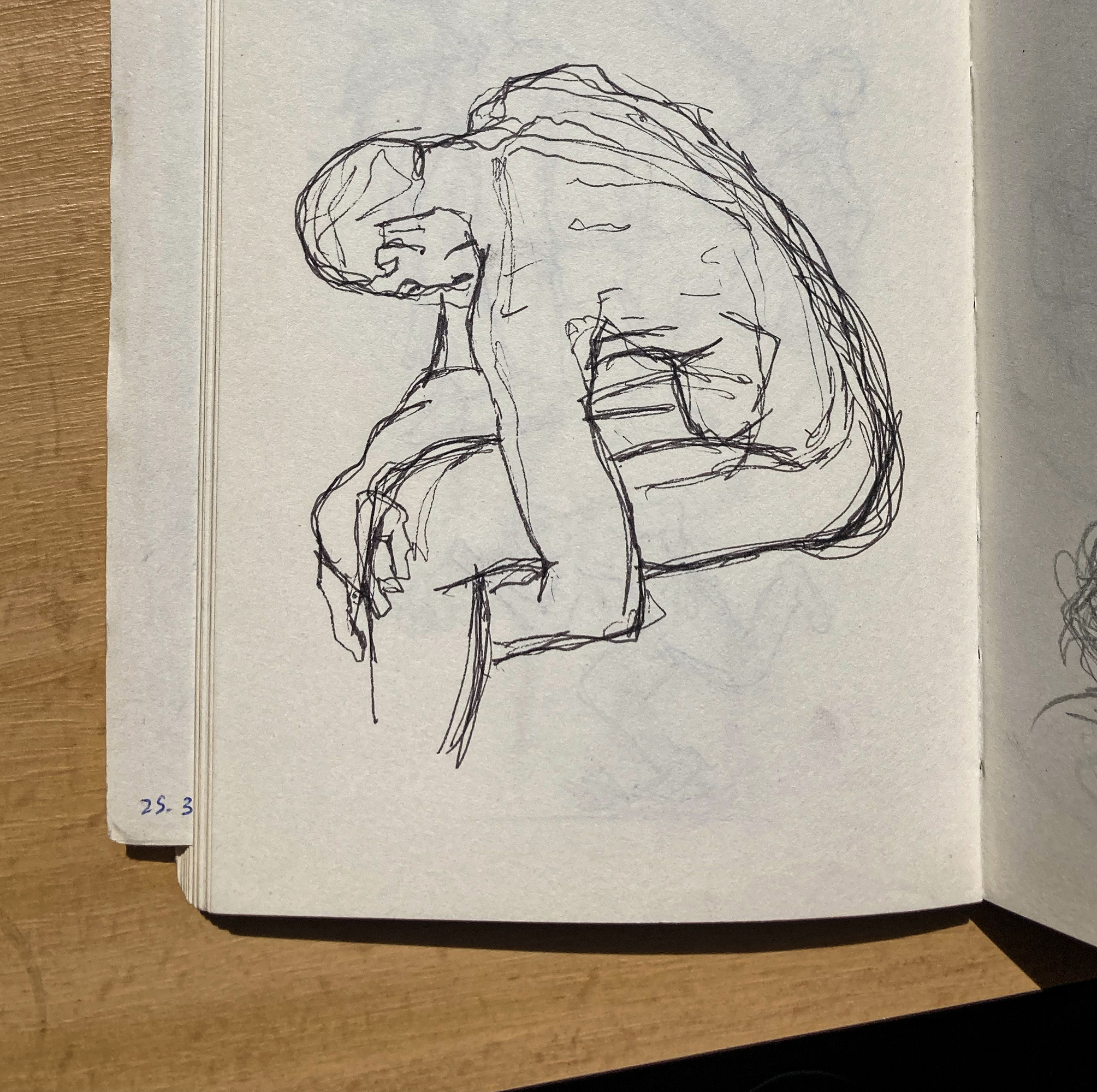 Anatomy studies