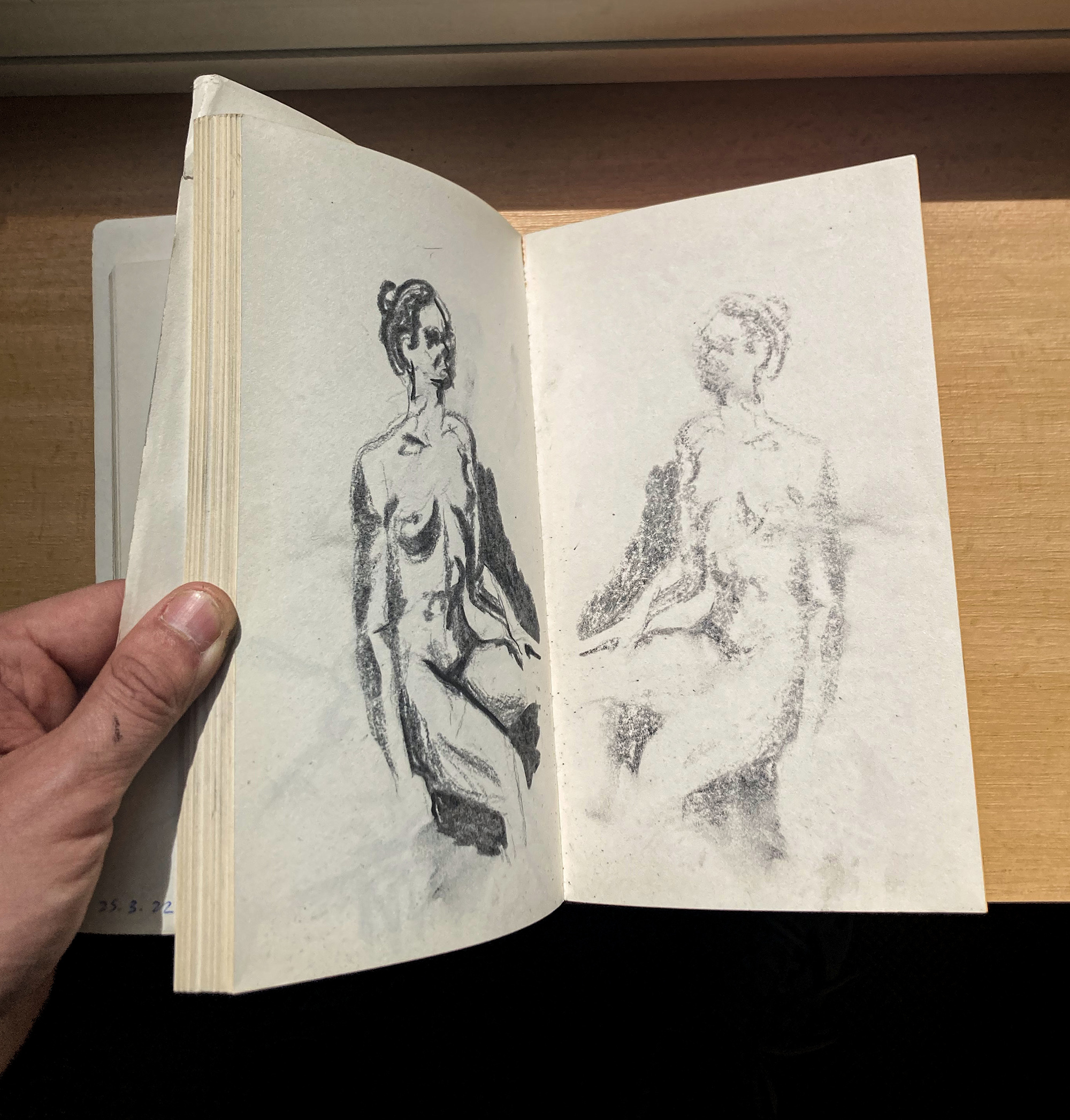 Anatomy studies